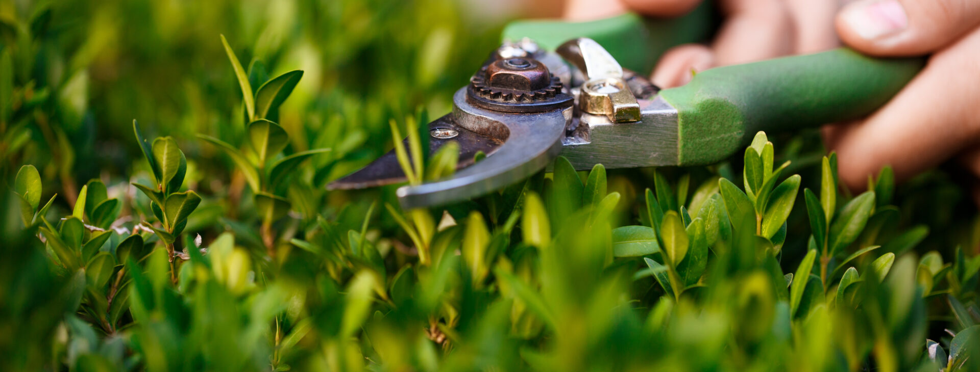 Transform Your Outdoor 
Space with Urban Eden